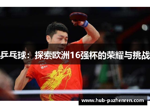 乒乓球：探索欧洲16强杯的荣耀与挑战