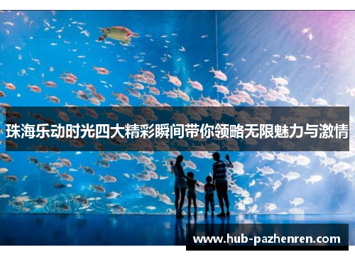 珠海乐动时光四大精彩瞬间带你领略无限魅力与激情